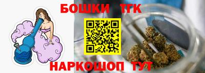 индика Вышний Волочёк