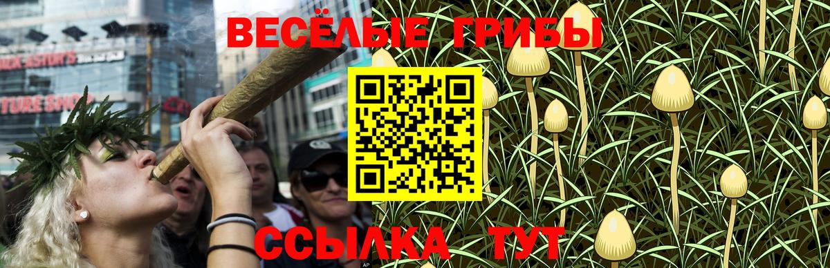 Владивосток  Псилоцибиновые грибы Cubensis  Вход с VPN 