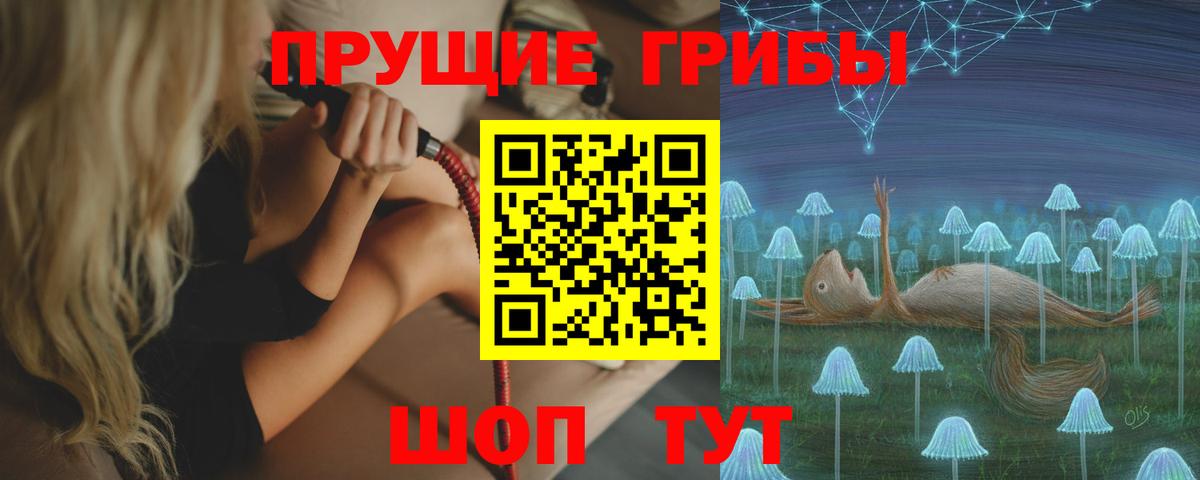 Псилоцибиновые грибы прущие грибы Владивосток