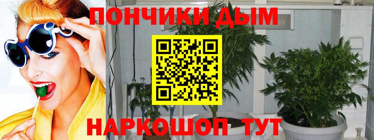 Владивосток  Канабис индика  Конопля Bruce Banner  Конопля ГИДРОПОН  Вход с VPN 